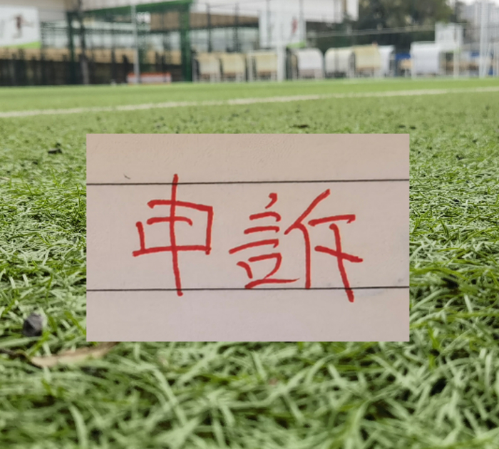 开云体育-北京国安曹永竞踩踏大连外援红牌 最终决定正确!|中国足协|成都蓉城|韦世豪|王竞|比赛_新浪体育_新浪新闻